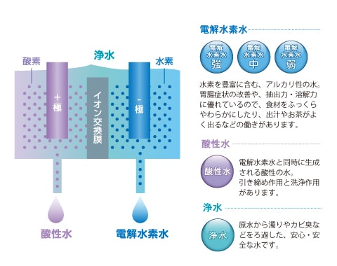 電解水素水